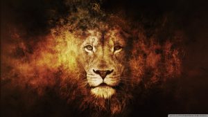 lion_13-wallpaper-2048x1152