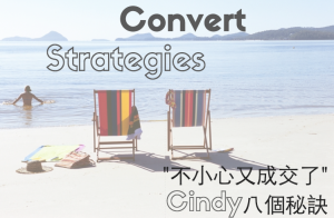 cindylin convert strategies
